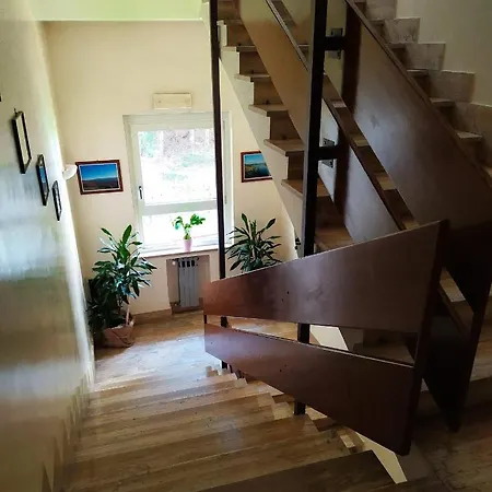 Hotel Aquila & Edelweiss 4*