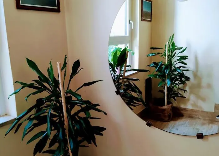 Hotel Aquila & Edelweiss 4*